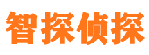 永寿侦探公司